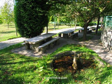 PARQUE FLORESTAL DE BEADE