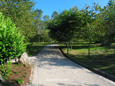 PARQUE FORESTAL DE BEADE