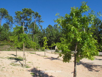 PARQUE DA GUIEIRA (COMESAÑA)