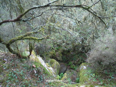 GRUTAS DO FOLÓN - CORUXO (Vigo)