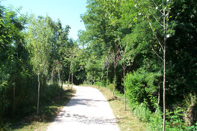 FLUVIAL WALK OF LAGARES RIVER