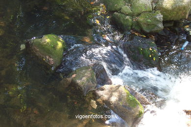 PASSEIO FLUVIAL DO RIO LAGARES