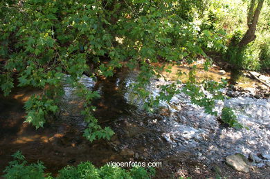 FLUVIAL WALK OF LAGARES RIVER