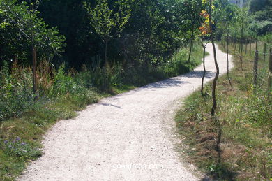 PASSEIO FLUVIAL DO RIO LAGARES