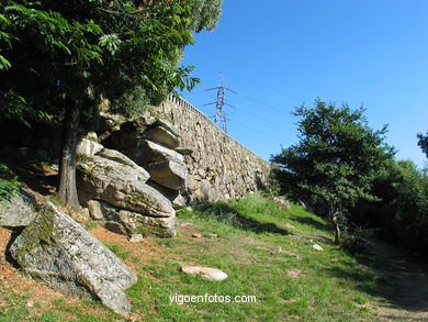 PARQUE FORESTAL LA MADROA