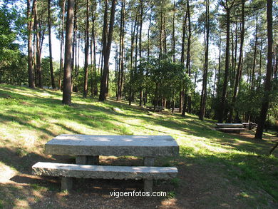 PARQUE FLORESTAL A MADROA