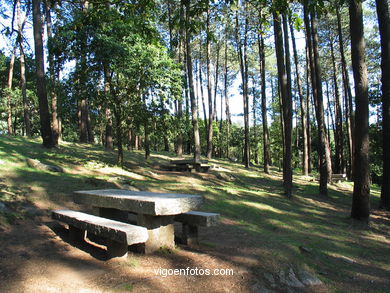 PARQUE FLORESTAL A MADROA