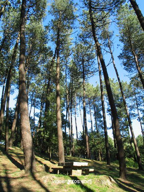 PARQUE FORESTAL LA MADROA