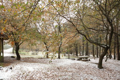 NIEVE EN VIGO. PAISAJES NEVADOS. CUVI Y MONTAÑA.