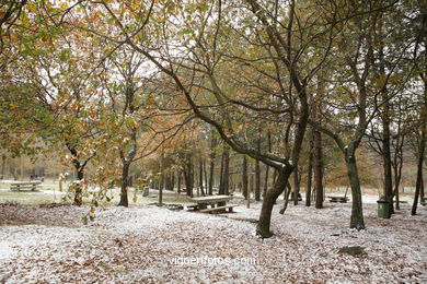 NEVE EM VIGO. PAISAGENS NEVADOS. CUVI E MONTANHA.