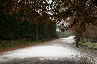 NEVE EM VIGO. PAISAGENS NEVADOS. CUVI E MONTANHA.