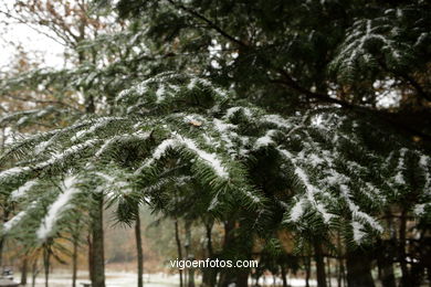 NIEVE EN VIGO. PAISAJES NEVADOS. CUVI Y MONTAÑA.