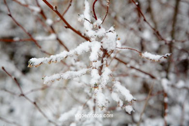 NEVE EM VIGO. PAISAGENS NEVADOS. CUVI E MONTANHA.