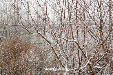 NEVE EM VIGO. PAISAGENS NEVADOS. CUVI E MONTANHA.