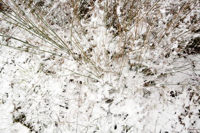 NEVE EM VIGO. PAISAGENS NEVADOS. CUVI E MONTANHA.