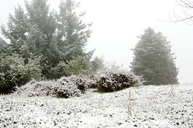 NIEVE EN VIGO. PAISAJES NEVADOS. CUVI Y MONTAÑA.