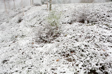 NIEVE EN VIGO. PAISAJES NEVADOS. CUVI Y MONTAÑA.