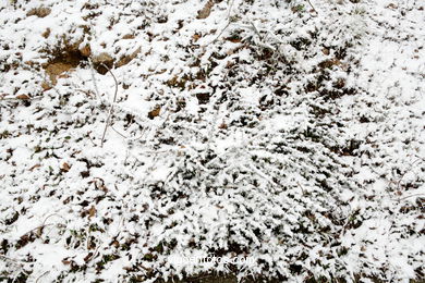 NIEVE EN VIGO. PAISAJES NEVADOS. CUVI Y MONTAÑA.