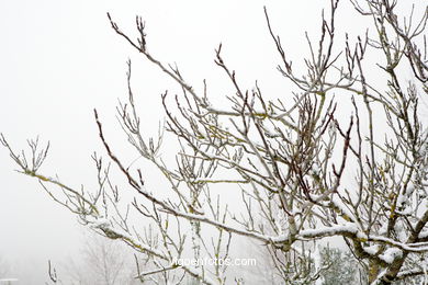 NEVE EM VIGO. PAISAGENS NEVADOS. CUVI E MONTANHA.