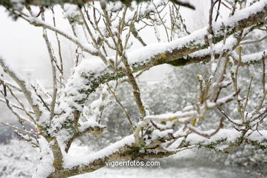 NEVE EM VIGO. PAISAGENS NEVADOS. CUVI E MONTANHA.