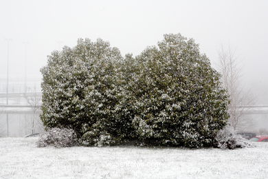 NEVE EM VIGO. PAISAGENS NEVADOS. CUVI E MONTANHA.