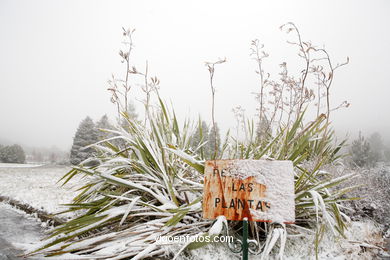 NIEVE EN VIGO. PAISAJES NEVADOS. CUVI Y MONTAÑA.