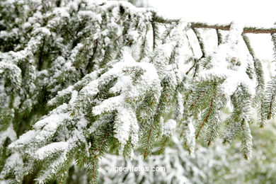 NEVE EM VIGO. PAISAGENS NEVADOS. CUVI E MONTANHA.