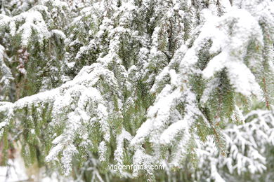 NEVE EM VIGO. PAISAGENS NEVADOS. CUVI E MONTANHA.