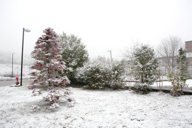 NIEVE EN VIGO. PAISAJES NEVADOS. CUVI Y MONTAÑA.