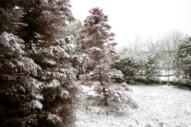 NEVE EM VIGO. PAISAGENS NEVADOS. CUVI E MONTANHA.