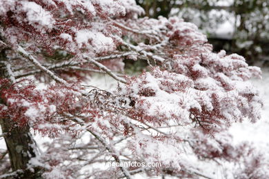 NEVE EM VIGO. PAISAGENS NEVADOS. CUVI E MONTANHA.