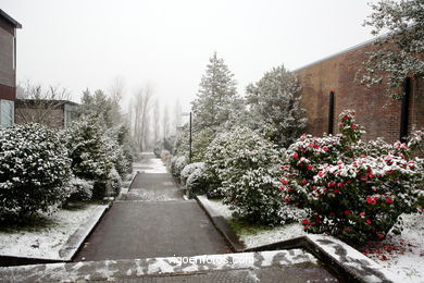 NEVE EM VIGO. PAISAGENS NEVADOS. CUVI E MONTANHA.