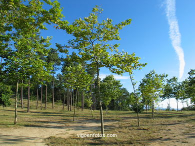 PARQUE FLORESTAL DE OIA