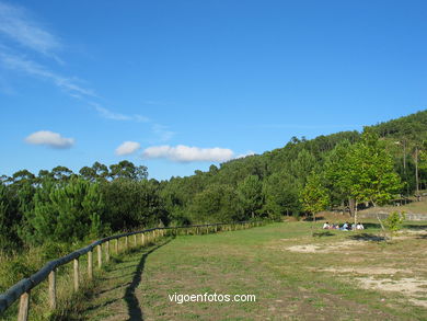 PARQUE FLORESTAL DE OIA