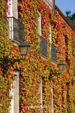 PAISAJES DE OTOÑO. OTOÑALES.