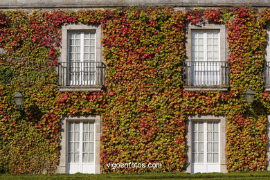 PAISAGENS DE OUTONO. OTOÑALES.