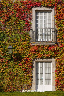 PAISAJES DE OTOÑO. OTOÑALES.