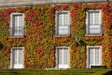 PAISAJES DE OTOÑO. OTOÑALES.