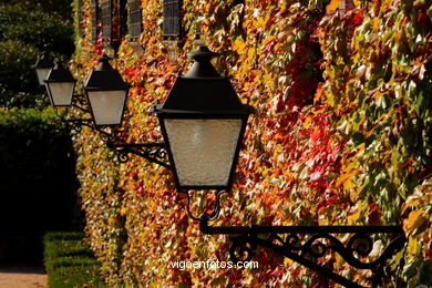 PAISAJES DE OTOÑO. OTOÑALES.