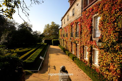 AUTUMN LANDSCAPES. AUTUMN.