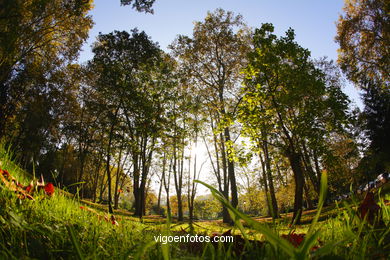 AUTUMN LANDSCAPES. AUTUMN.