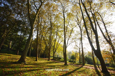 PAISAGENS DE OUTONO. OTOÑALES.