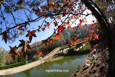 PAISAJES DE OTOÑO. OTOÑALES.