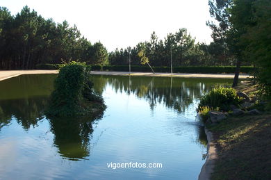 MONTE DE LOS POZOS