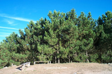 MONTE DE LOS POZOS