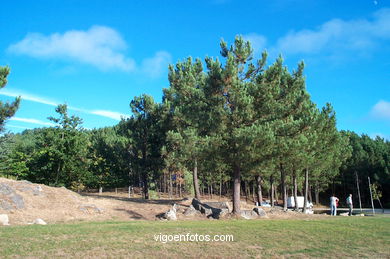 MONTE DE LOS POZOS