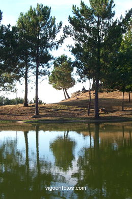 MOUNTAIN LOS POZOS