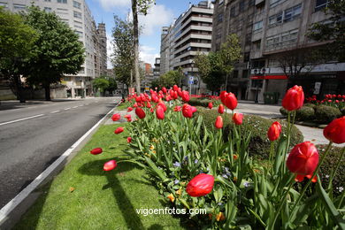 SPRING IN SPAIN. FLOWERS AND LANDSCAPES