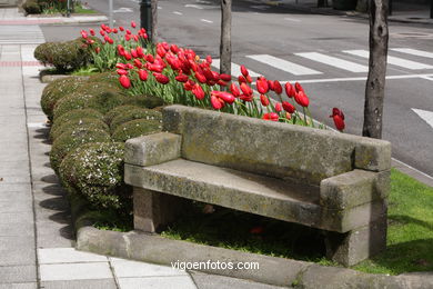 SPRING IN SPAIN. FLOWERS AND LANDSCAPES