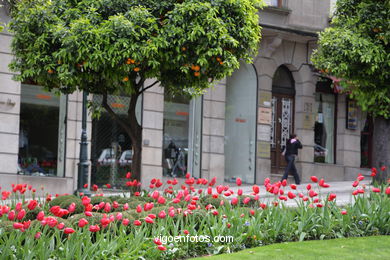 SPRING IN SPAIN. FLOWERS AND LANDSCAPES